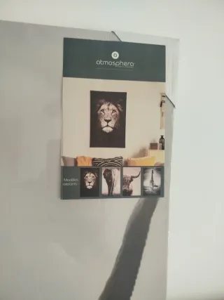 Cuadro Decorativo Vaca Highland