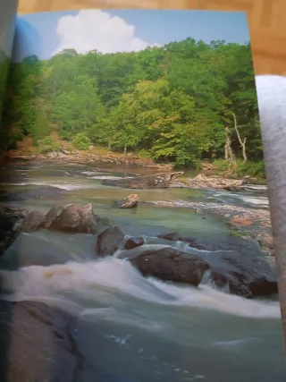 Southeastern Wetlands A Guide to Selected Sites...