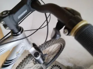 Bicicleta Geace Plata