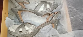 Zapatos de fiesta plateados