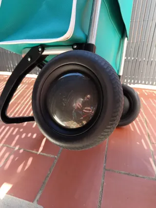 Carro de la compra ROLSER verde