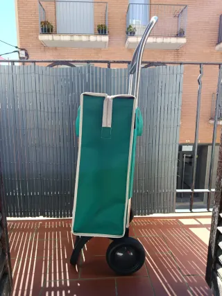 Carro de la compra ROLSER verde