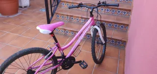 Bicicleta niña 24 rosa