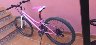 Bicicleta niña 24 rosa