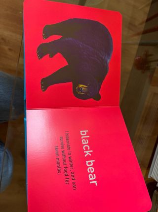 Libro de animales en ingles