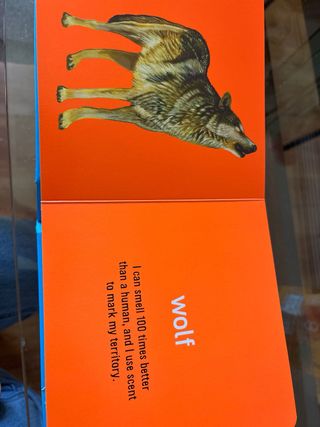 Libro de animales en ingles