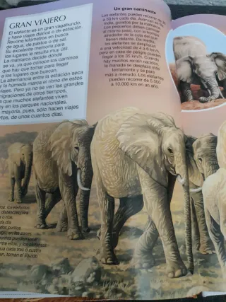 Enciclopedia, libro, cuento Los elefantes