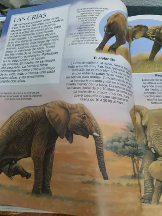 Enciclopedia, libro, cuento Los elefantes