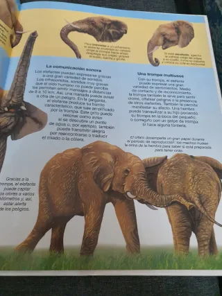 Enciclopedia, libro, cuento Los elefantes