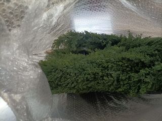 CROSOFMI Planta Artificial Grande Exterior Decorat