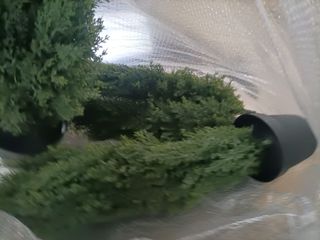 CROSOFMI Planta Artificial Grande Exterior Decorat