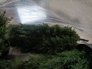 CROSOFMI Planta Artificial Grande Exterior Decorat