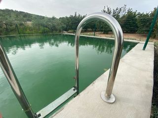 Finca rústica amb caseta