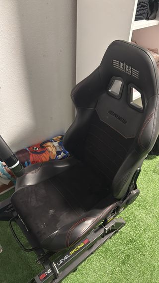 Fanatec DD PRO PC/PS5 / Cockpit Nex Level .