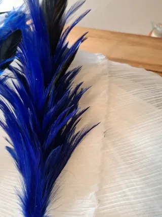 Lote de plumas azules y negras
