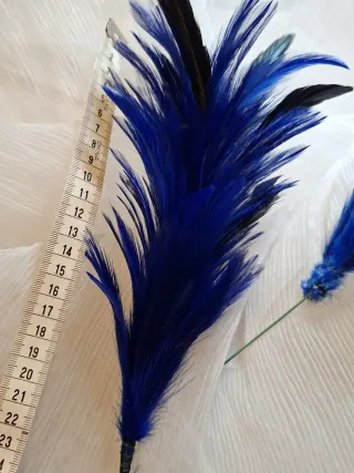 Lote de plumas azules y negras