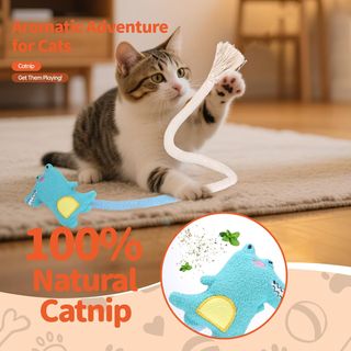 Giocattoli per gatti, Giocattolo con corda e catnip per gatti