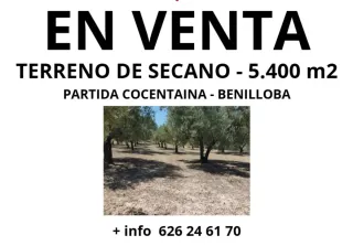 Terreno de secano 5.400 m2 Posibilidades de pozo