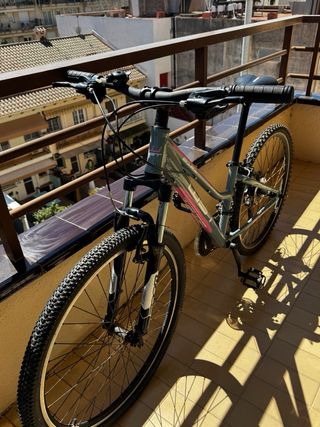 Bicicleta Montaña WST Cosmo 26 Aluminio