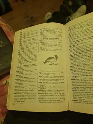 Pequeno diccionario Xerais da lingua