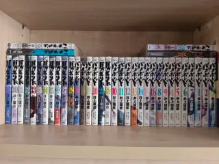 Colección Vagabond 1-37 en japonés