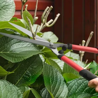 Set Jardinería 3 Piezas Tijeras Podar
