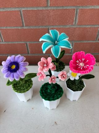 Piantina decorativa Giglio azzurro