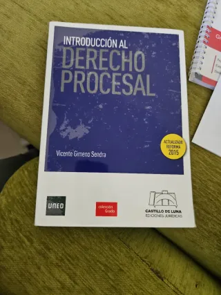 Introducción al Derecho Pocesal (Grado) (Spanis...