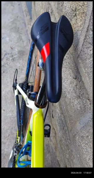 Bicicleta GW Carbono Pro-Team