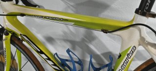 Bicicleta GW Carbono Pro-Team