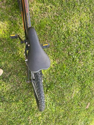 Bicicleta Randy Talla M