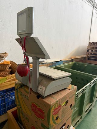 Báscula Mettler Toledo 15 kg