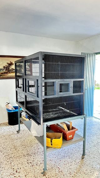 Voladera grande gris con estructura