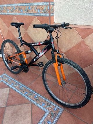 Bicicleta de montaña Romester