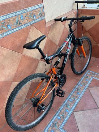 Bicicleta de montaña Romester