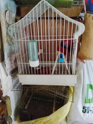 Jaula  para pájaros blanca