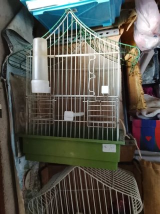 Jaula  para pájaros blanca