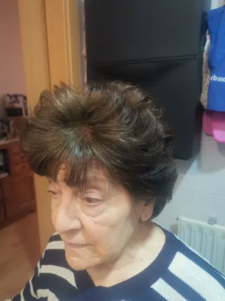 SERVICIOS DE PELUQUERÍA A DOMICILIO / EN CASA