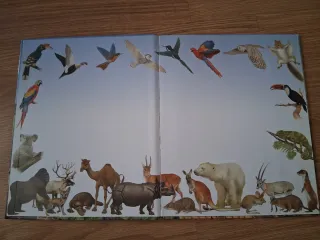 5 libros infantiles Busca los animales...