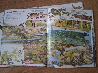 5 libros infantiles Busca los animales...