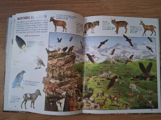 5 libros infantiles Busca los animales...