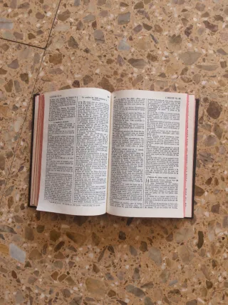 SANTA BIBLIA ANTIGUA