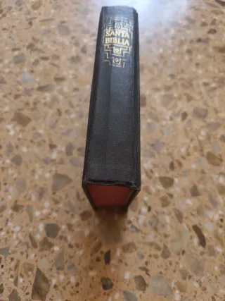 SANTA BIBLIA ANTIGUA