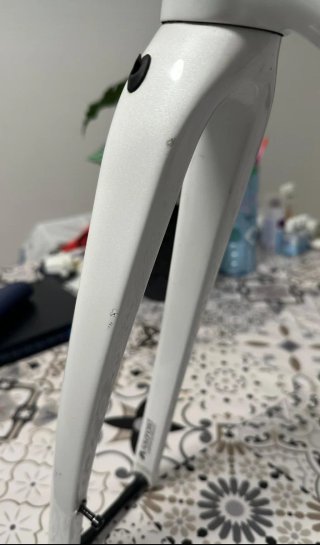 Giant TCR Carbono Disc Talla ML