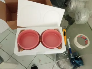 Ciotola doppia rosa con supporto in legno Bamboo