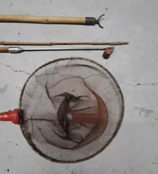 Set de pesca: cañas y red