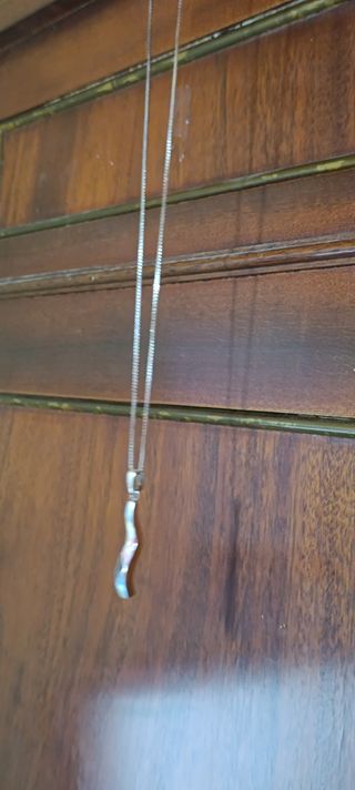Collana in argento 925 e pendente ondulato moderni