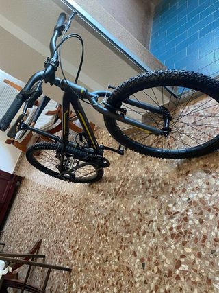 Bicicleta Orbea Aluminio Rin 24