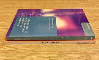 Lote 2 libros sobre Management / 2 euros el lote