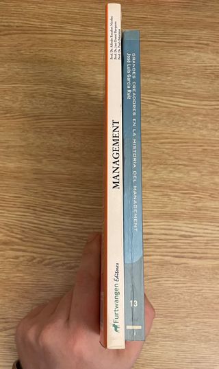 Lote 2 libros sobre Management / 2 euros el lote